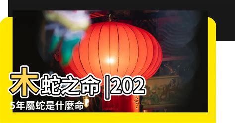 1965屬什麼|1965年屬什麼生肖